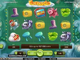 12bet 20038